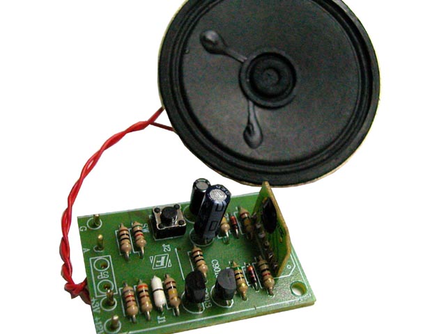 Animal Sound Effects - Stonewashed